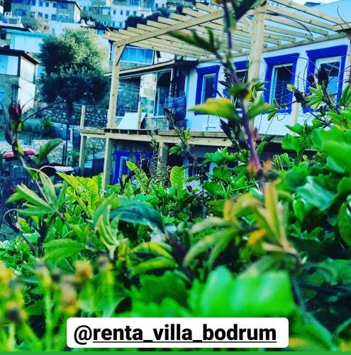 Rentavill Villa Zeus