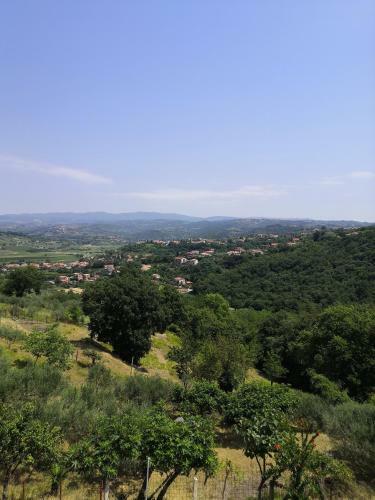 Apartamento Rosemarin
