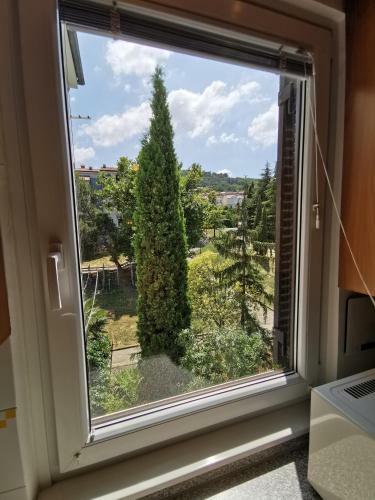 Apartment Jerman