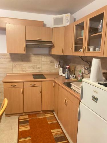 Apartments Otok