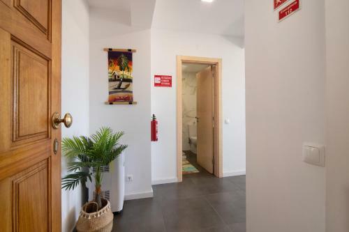 Sunshine Apartment