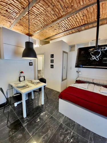 Brick Ceiling Apartment
