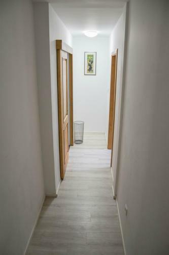 Ljubljana Dragon Apartment
