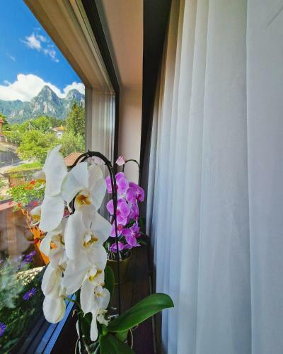 Apartamento Amor Tirol Bu?teni