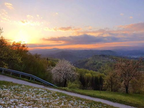 Holiday Home In Mirna Kranjska Krain 42906