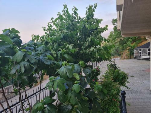Apartamento Selvili 2