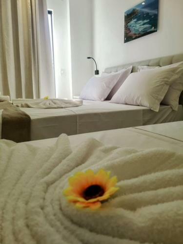 Hostal Pousada Areia Branca