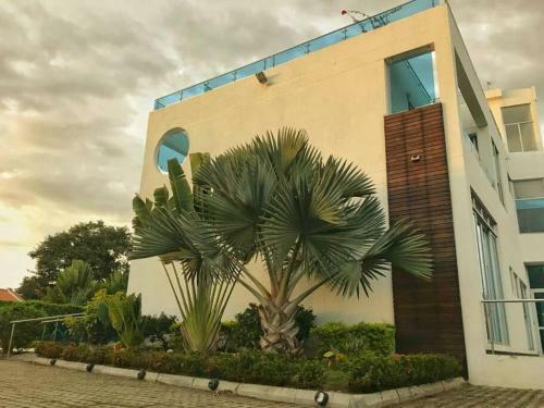 Casa De Los Vidrios Azules
