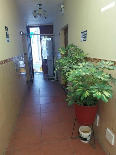 Hostal Las Terrazas Del Turista