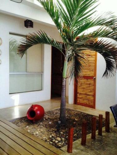 Apartamento Casa Willka