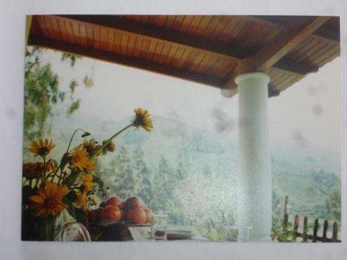 Swiss Chalet With Private Kitchen Near Lima