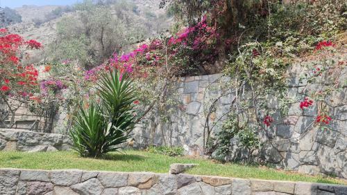 Casa Las Begonias