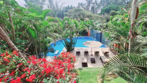 Casa Las Begonias