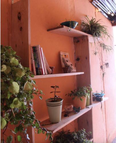 Esperanza Hostel