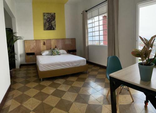 La Palmera Hostel
