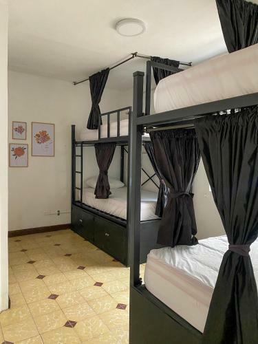 La Palmera Hostel