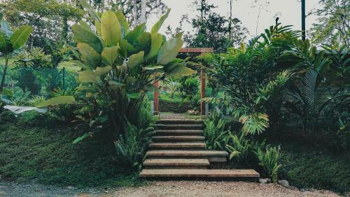 Bocas Garden Lodges