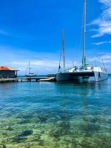 Hotel Brisas Del Mar Beach + Dive Resort