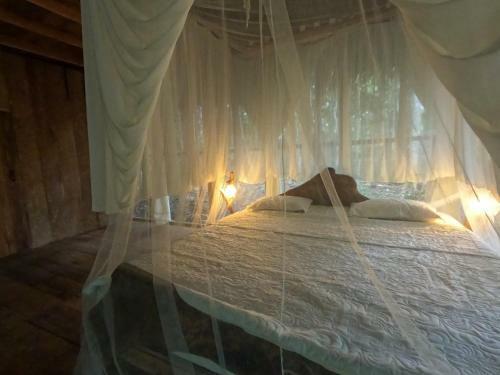 Enchanting Jungle Villa ? Umari