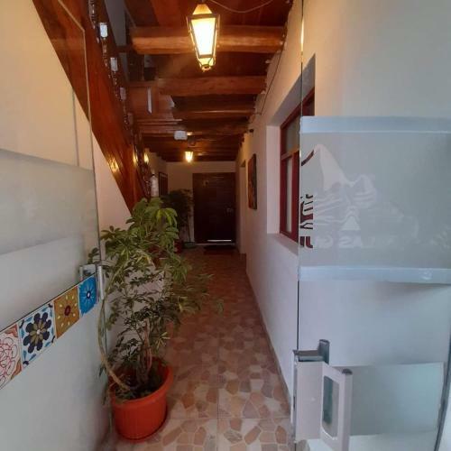 Hostel M�gico San Blas