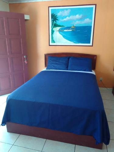 Hotel San Antonio Roatan
