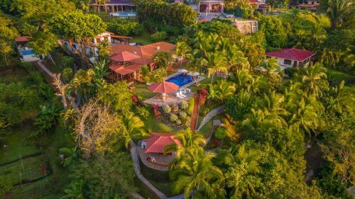 Iguana Apartmentos And Estate