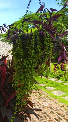 Hostal Costa Azul Hostel Ometepe