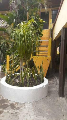 Apartamento Yax Bal�m