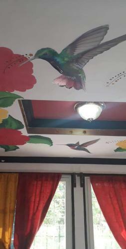 Apartamento Yax Bal�m