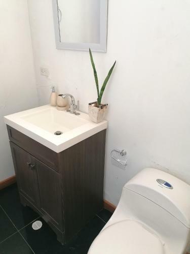 Apartamento New Experience