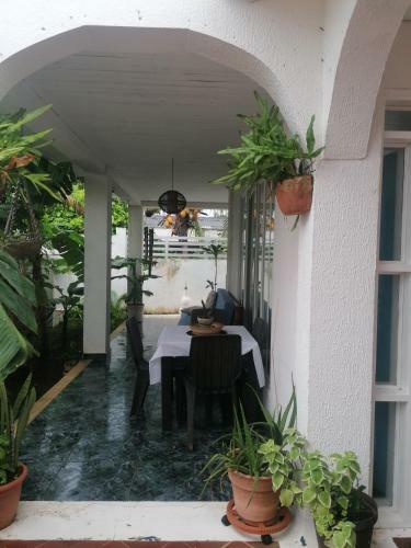 Apartamento New Experience