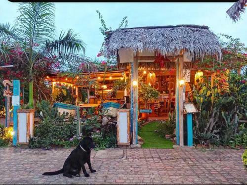 Hostal Caf� Madame