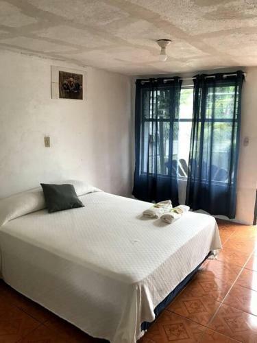 Bed & Breakfast Cabinas Adriana