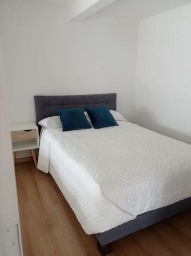 Apartamento Hermoso Departamento de Arriendo