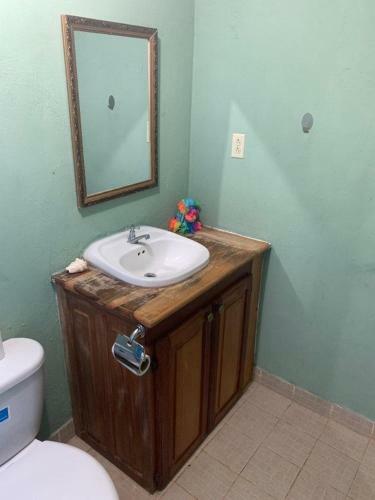 Hostal Tortuga