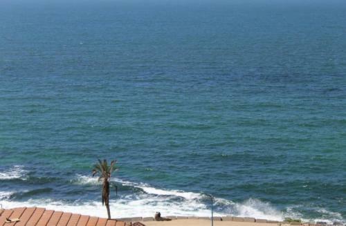 Apartamento Alexrent Front Sea View