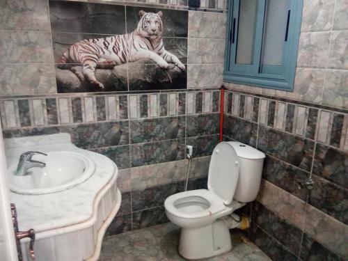 Apartamento ????? ????? ??? ????? ????? ??????? ????? ?????