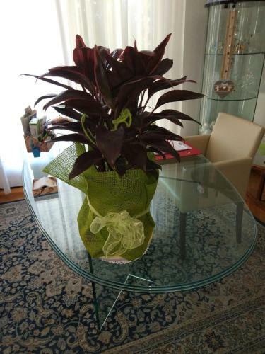 Marinella B&B