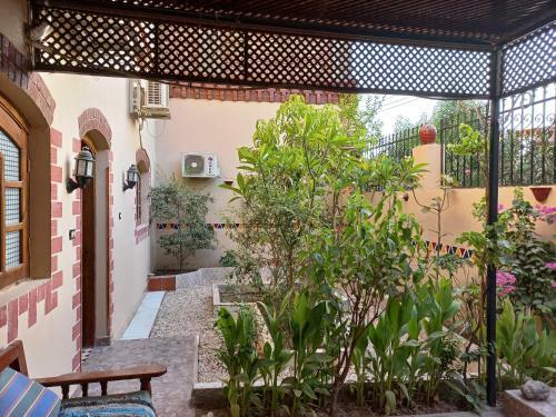 Apartamento King Tut House