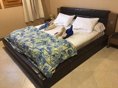 Dahab Home Bed&breakfast