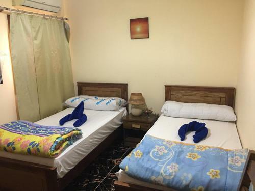 Dahab Home Bed&breakfast