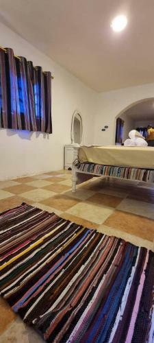 A Peaceful 1 Bedroom Apartment