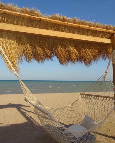 Mangroovy Gouna