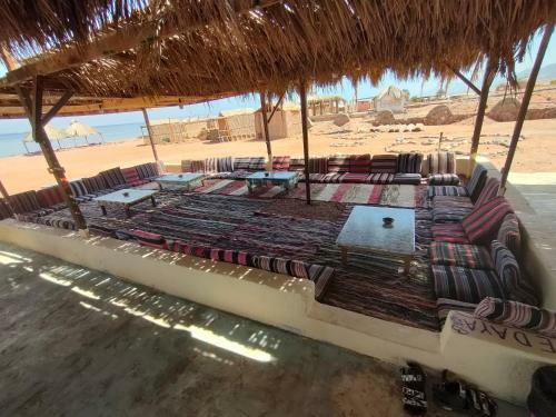Lodge Bedaya Camp