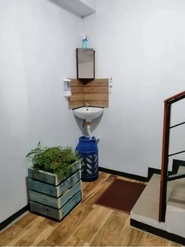 Bachoo House