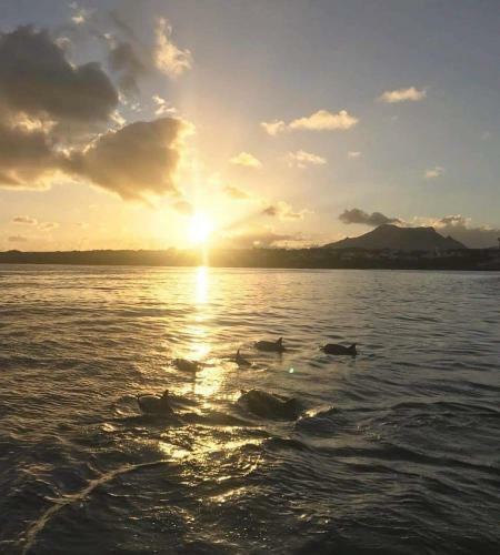 Apartamento Lukshvilla Kite/wind Surf Accomodation Mauritius