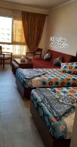 Apartamento ???? ???? ??? ?? 91