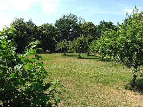 Bed & Breakfast La Jeusseliniere