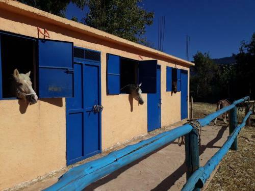Agroturismo Le Vallon Vert - Club Equestre