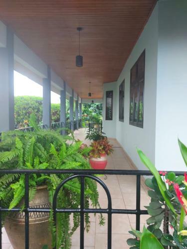 Ceci's Home